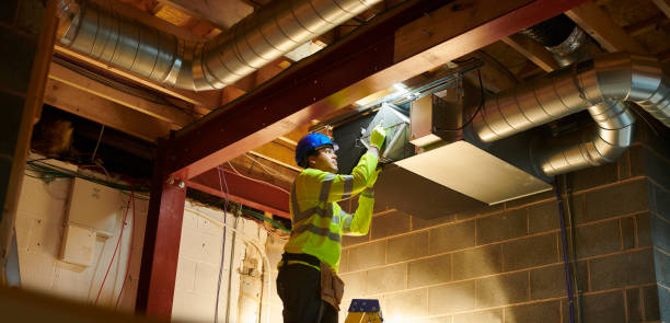 Best Air Duct Mold Removal  in Oak Hills, PA